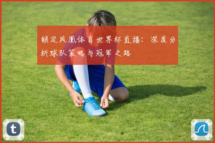 锁定凤凰体育世界杯直播：深度分析球队策略与冠军之路