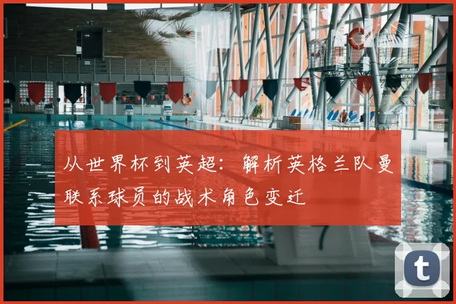 从世界杯到英超:解析英格兰队曼联系球员的战术角色变迁